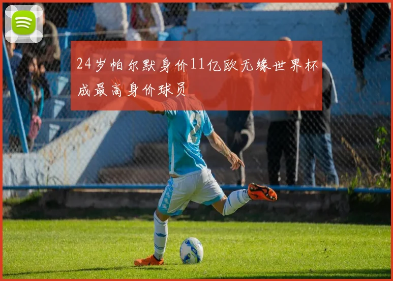 24岁帕尔默身价11亿欧无缘世界杯成最高身价球员