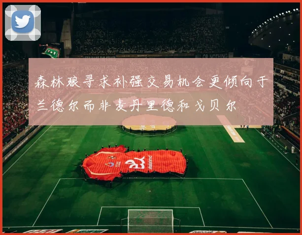 森林狼寻求补强交易机会更倾向于兰德尔而非麦丹里德和戈贝尔